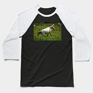white horse Baseball T-Shirt